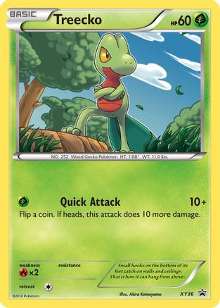 Treecko XY36, XY Promos