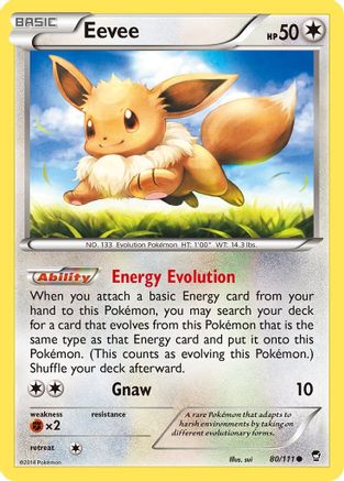 Eevee 80/111, XY - Furious Fists