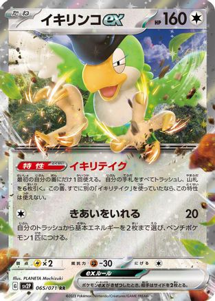 Squawkabilly ex 065/071, SV2P: Snow Hazard